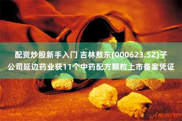 配资炒股新手入门 吉林敖东(000623.SZ)子公司延边药业获11个中药配方颗粒上市备案凭证