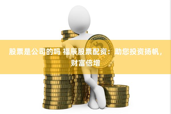 股票是公司的吗 福辰股票配资：助您投资扬帆，财富倍增