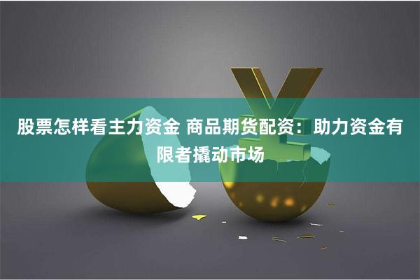 股票怎样看主力资金 商品期货配资：助力资金有限者撬动市场